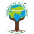 greenrootshoppe.com